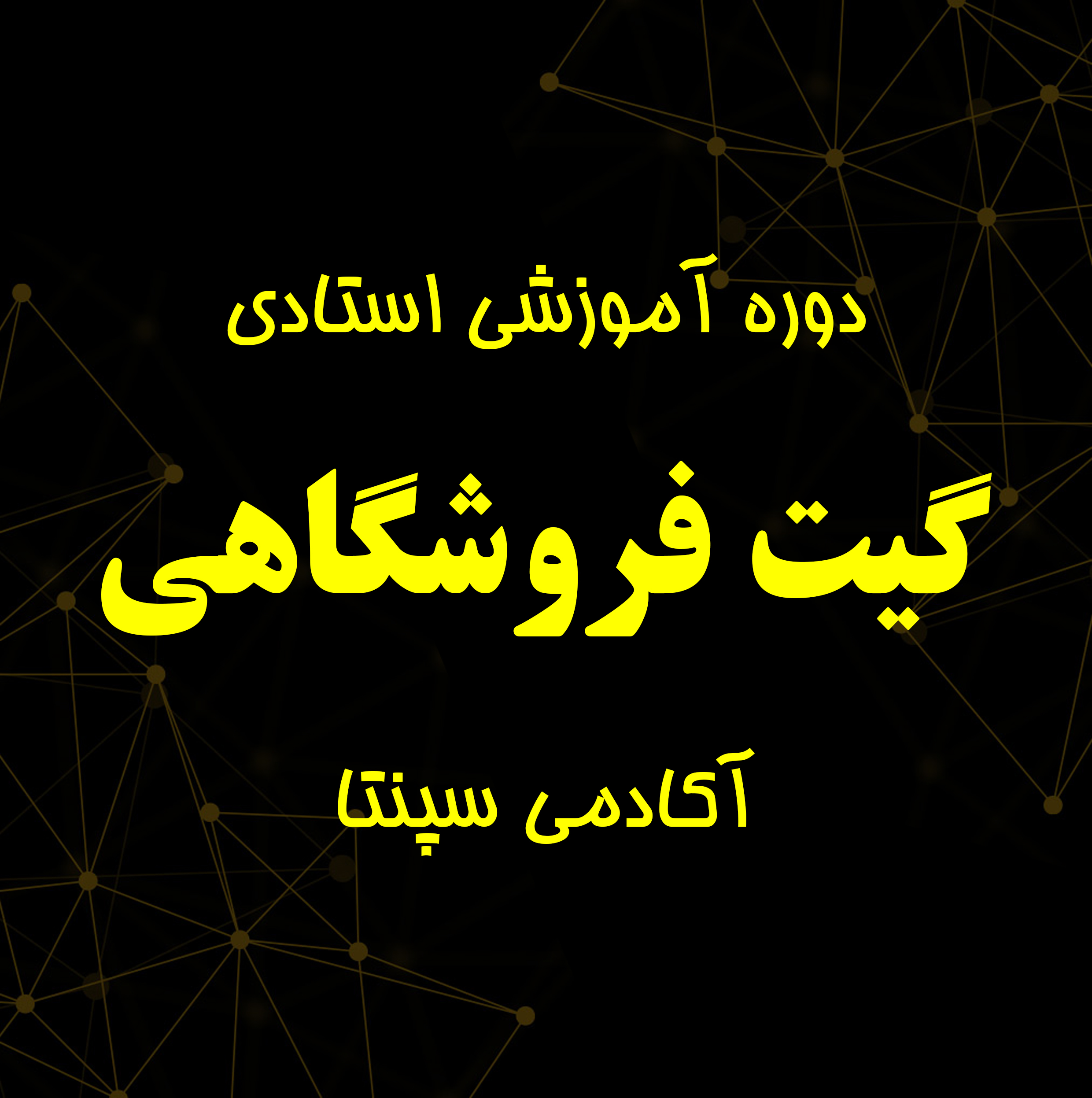 دوره آموزش حرفه ای گیت های فروشگاهی